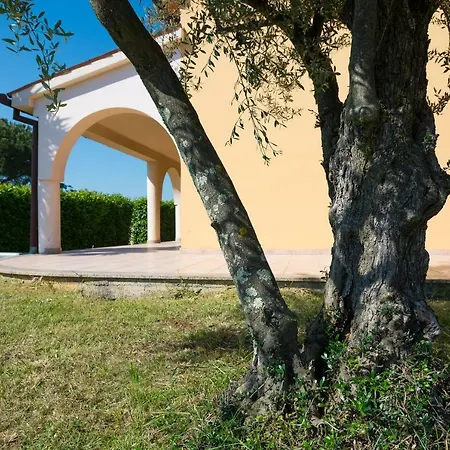 Апартаменти Irena