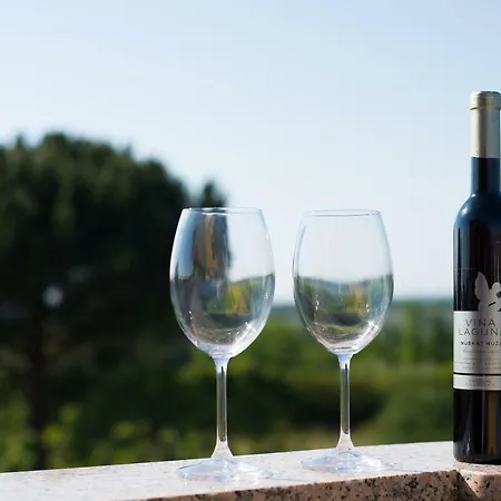 Apartman Irena Poreč