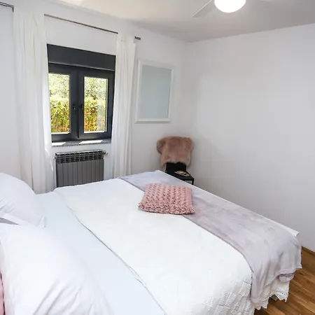Apartment Irena *